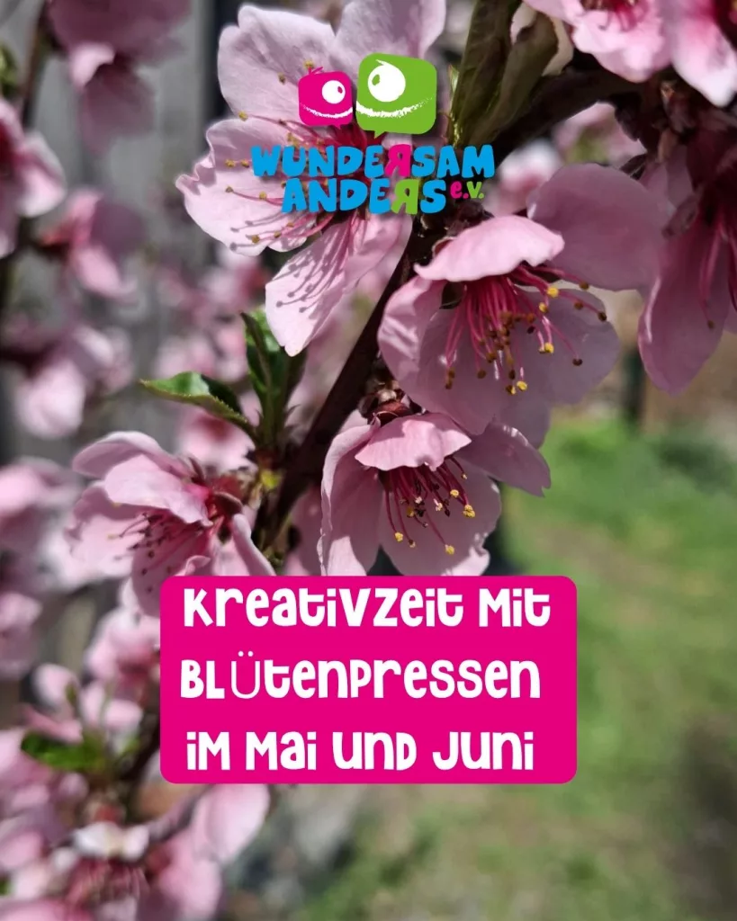 Blütenpresse basteln – KREATIVZEIT im Mai & Juni